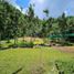  Land for sale in Nagcarlan, Laguna, Nagcarlan