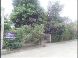  Land for sale in Ramon, Isabela, Ramon