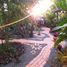 9 Schlafzimmer Villa zu verkaufen in Tepoztlan, Morelos, Tepoztlan