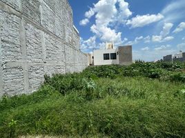  Terreno (Parcela) en venta en Irapuato, Guanajuato, Irapuato, Guanajuato