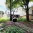  Land for sale in Tuxtla Gutierrez, Chiapas, Tuxtla Gutierrez, Chiapas