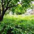  Land for sale in Tuxtla Gutierrez, Chiapas, Tuxtla Gutierrez, Chiapas