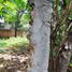  Land for sale in Tuxtla Gutierrez, Chiapas, Tuxtla Gutierrez, Chiapas