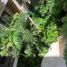 2 Habitación Apartamento en venta en Cozumel, Quintana Roo, Cozumel