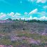 Land for sale in Coatepec, Veracruz, Coatepec