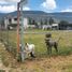  Land for sale in Pachuca De Soto, Hidalgo, Pachuca De Soto