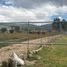  Land for sale in Pachuca De Soto, Hidalgo, Pachuca De Soto