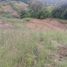  Terrain for sale in San Jeronimo, Antioquia, San Jeronimo