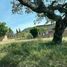  Land for sale in Totolapan, Morelos, Totolapan