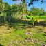  Land for sale in Amlan, Negros Oriental, Amlan