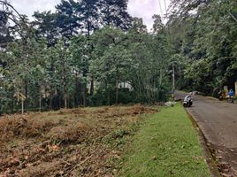  Grundstück zu verkaufen in Medellin, Antioquia, Medellin, Antioquia, Kolumbien