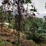  Grundstück zu verkaufen in Medellin, Antioquia, Medellin, Antioquia, Kolumbien