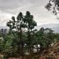  Grundstück zu verkaufen in Medellin, Antioquia, Medellin, Antioquia, Kolumbien