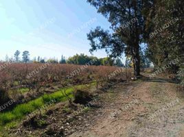  Terrain for sale in Linares, Maule, Linares, Linares