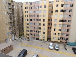 3 Habitación Apartamento en venta en San Martin de Porres, Lima, San Martin de Porres