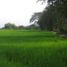  Villa for sale in Piedras, Tolima, Piedras