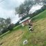  Land for sale in Los Banos Del Inca, Cajamarca, Los Banos Del Inca, Cajamarca, Cajamarca