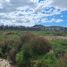  Land for rent in San Agustin Tlaxiaca, Hidalgo, San Agustin Tlaxiaca, Hidalgo