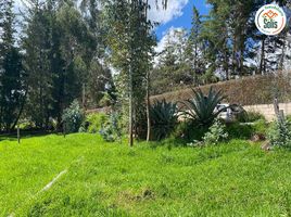  Terreno (Parcela) en venta en Cajamarca, Los Baños del Inca, Cajamarca, Cajamarca