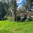  Land for sale in Los Banos Del Inca, Cajamarca, Los Banos Del Inca, Cajamarca, Cajamarca