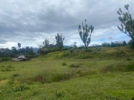  Land for sale in Ciudad de Dios, Fundación Santa Teresa de Ávila, Villa De Leyva, Villa De Leyva