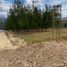  Land for sale in Namora, Cajamarca, Namora, Cajamarca, Cajamarca