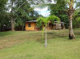  Land for sale in Real, Quezon, Real