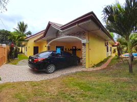 3 Bedroom House for sale in Bacong, Negros Oriental, Bacong