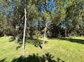  Land for sale in Terminal Valdivia, Mariquina, Mariquina