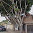 Villa 4 chambre à vendre à Leon, Guanajuato, Leon