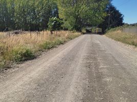  Terreno (Parcela) en alquiler en Chile, Mariquina, Valdivia, Los Ríos, Chile