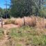  Land for rent in Los Rios, Mariquina, Valdivia, Los Rios