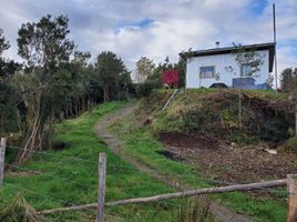  Terreno (Parcela) en venta en Puerto Montt, Llanquihue, Puerto Montt