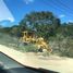  Land for sale in Muxupip, Yucatan, Muxupip