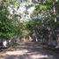  Grundstück zu verkaufen in Muxupip, Yucatan, Muxupip