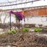  토지을(를) San Andres Cholula, 푸에블라에서 판매합니다., San Andres Cholula