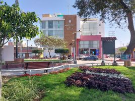  Terreno (Parcela) en venta en Tacna, Pocollay, Tacna, Tacna