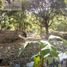  Grundstück zu verkaufen in Malinalco, Mexico, Malinalco