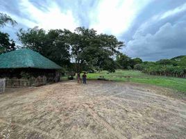  Grundstück zu verkaufen in Tarlac, Central Luzon, Camiling