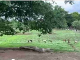  Land for sale in Camiling, Tarlac, Camiling