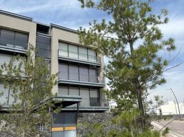 3 Bedroom Condo for rent in Leon, Guanajuato, Leon, Guanajuato