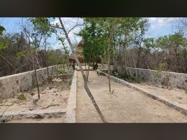  Grundstück zu verkaufen in Merida, Yucatan, Merida, Yucatan, Mexiko