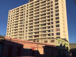 1 chambre Appartement for sale in Antofagasta, Calama, El Loa, Antofagasta