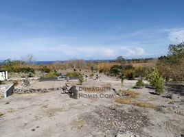  Grundstück zu verkaufen in Negros Oriental, Negros Island Region, Dauin