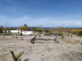  Grundstück zu verkaufen in Negros Oriental, Negros Island Region, Dauin