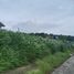  Terreno (Parcela) en venta en San Pedro City, Calabarzon, San Pedro City, Laguna, Calabarzon