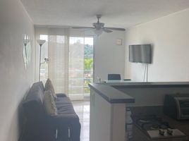 2 Bedroom Condo for rent in Risaralda, Pereira, Risaralda