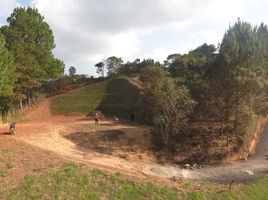  Terreno (Parcela) en venta en Guarne, Antioquia, Guarne, Antioquia