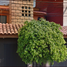 4 Habitación Casa en venta en Coyoacan, Ciudad de México, Coyoacan