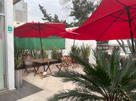 10 m² Office for rent in Miguel Hidalgo, Mexico City, Miguel Hidalgo